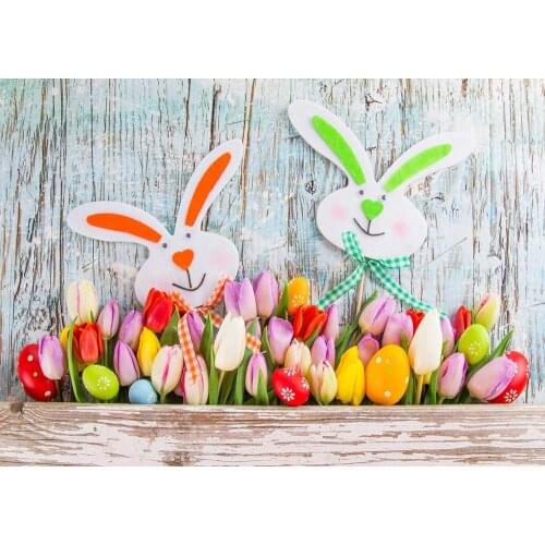 Easter flowers and Eggs Holiday photo background photo background