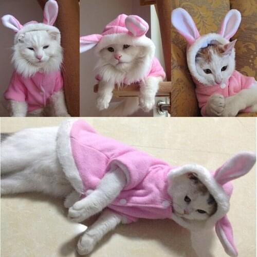 Pet Cat Clothes Costume Clothes For Pet Hoodies Cute Rabbit Cat Clothing Puppy Fleece Warm Pet New Cat Jacket Outfit