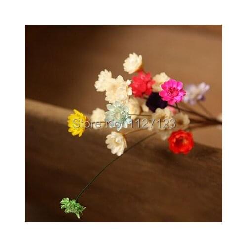 Free shippin!!! 100pcs Mix colour Dried flowers, wild chrysanthemum flower, Daisy, the glass, filler