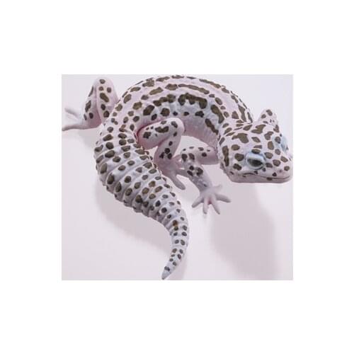 Pvc figure Doll model toyLizard Gecko Shougou Kissing Erotic Reptile Model