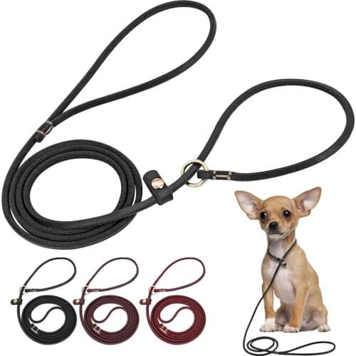 Dog Leash Leather Pet Walking Training Collar Leashes P Chain Collar Traction Rope Dog Lead For Small Dogs Puppy Chihuahua