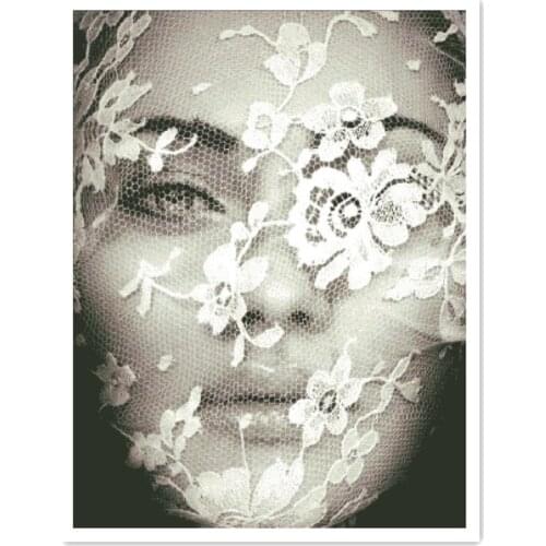 Woman with flower veil cross stitch package sexy beauty 18ct 14ct 11ct cloth cotton thread embroidery DIY handmade Dreampattern