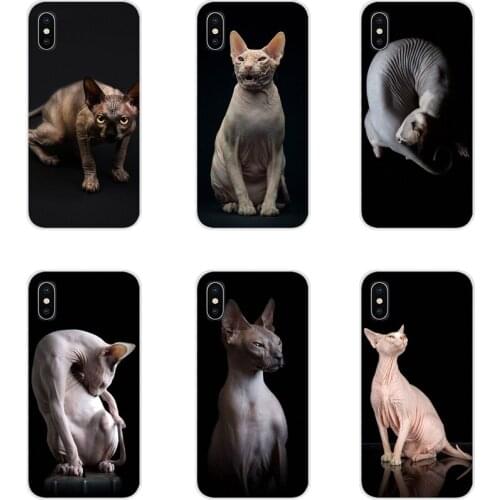 Sphynx cat For Samsung A10 A30 A40 A50 A60 A70 M30 Galaxy Note 2 3 4 5 8 9 10 PLUS Accessories Phone Cases Covers