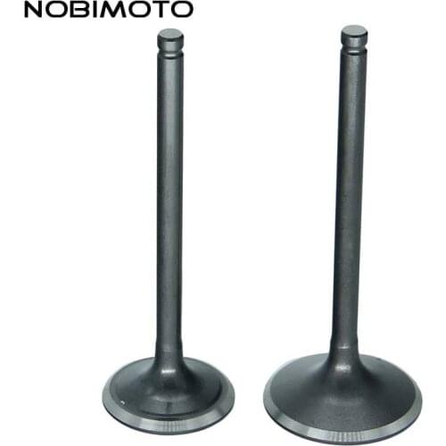 PIT Bike Intake Valve Exhaust Valves fit for Zongshen 250cc CB250cc ATV Go Kart, Moped & Scooter GT-178