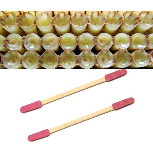20PCS Beekeeping Professional Double Bee Grafting Bamboo Rubber Picking Pen Milk Precise Jelly Pulp Taking Apiculture Tools