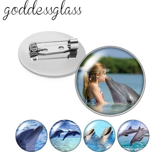 Cute Animal dolphin Lovely Round Glass cabochon Silver color Brooch Dome Photo Jewelry Brooches Pin For Gift