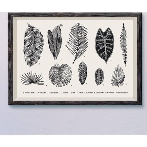 15 Nordic Simplicity Realistic Black White Abstract Plant Leaf Flower Vine Wall Silk HD Poster