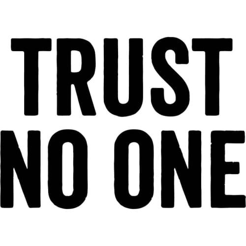 2Pcs Trust No One vinyl decal X Files Sticker david duchovny gillian anderson 12.5cm