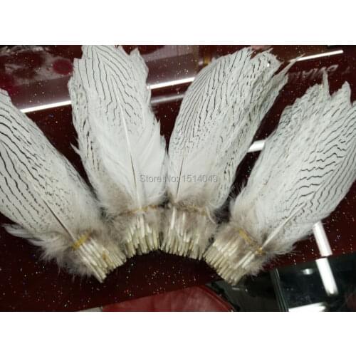 Wholesale 50pcs beatiful natural silver chicken feather 15-20cm/6-8inch Decorative diy