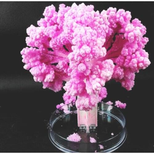 1PCS Newly 14x11cm Magic Growing Crystals Japanese Sakura Paper Trees Made in Japan Desktop Cherry Blossom Christmas Kids Toys
