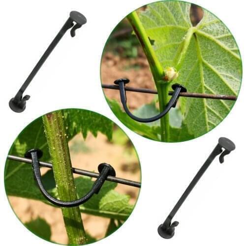 200Pcs NEW Free Shipping Vines Fasteners Vegetable Strapping Clips Garden Plants Buckle Grape Tool Plant Grafting Agricultural