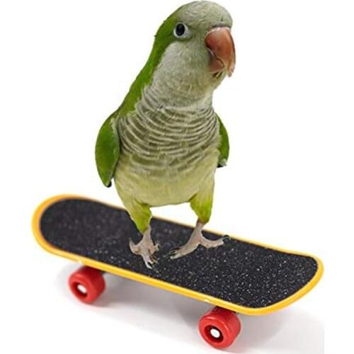 High Quality 2PCS Bird Parrot Intelligence Climbing Training Toys Mini Scrub Scooter Skateboard Bird Perch Fun Workout