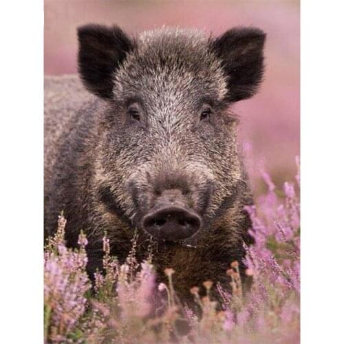 5D Diy Diamond Painting By Number Wild Boar Full Diamond Embroidery Forset Animals Mosaic Cross Stitch Crystal Diamond Art Pig