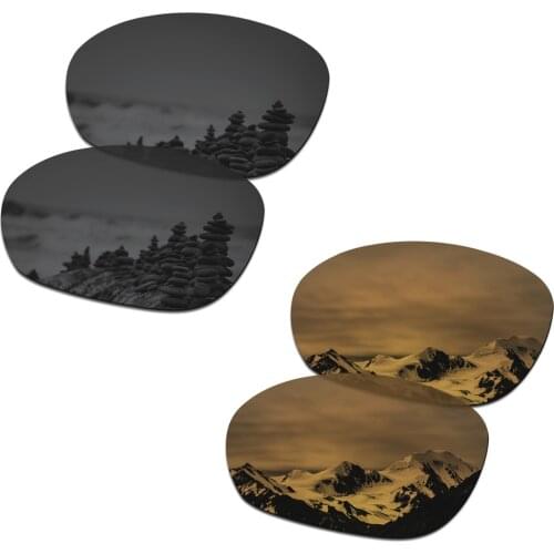 SmartVLT 2 Pairs Polarized Sunglasses Replacement Lenses for Oakley Pulse Stealth Black and Bronze Gold