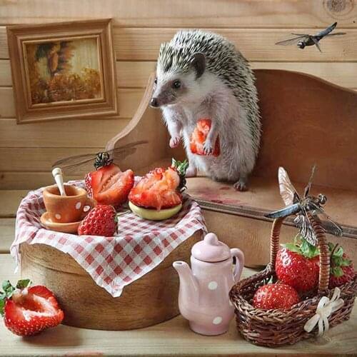 Full drill square 3D diamond painting Strawberry 5D DIY diamond embroidery Animal Hedgehog Cross Stitch Mosaic Rhinestones Decor