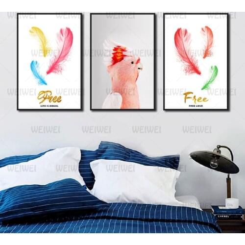 Animal Parrot Bird and Pink Red Feathers Home Poster Decoration Canvas Painting Use In Living Room and Bedroom Modern Home