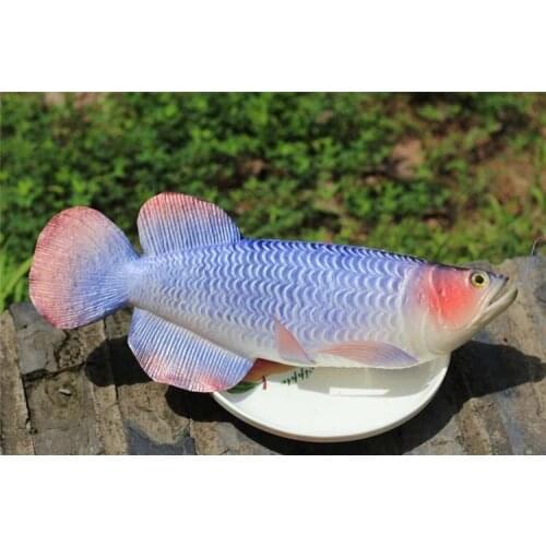 Arowana fish Simulation PU fake seafood model baby kid food toys model kitchen decoration props teaching materials teaching aids