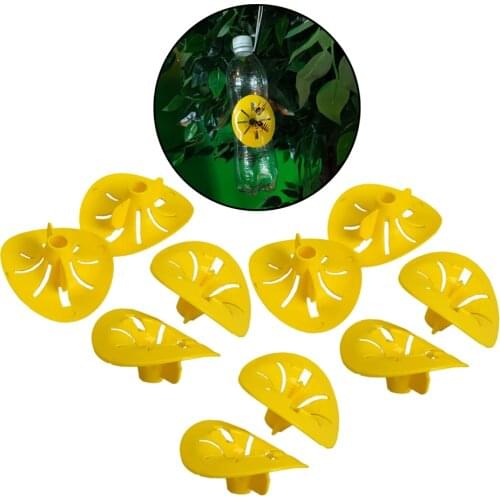 10X Flying Wasp Trap Catcher Kills Flies Insects Bugs Bottle Funnel
