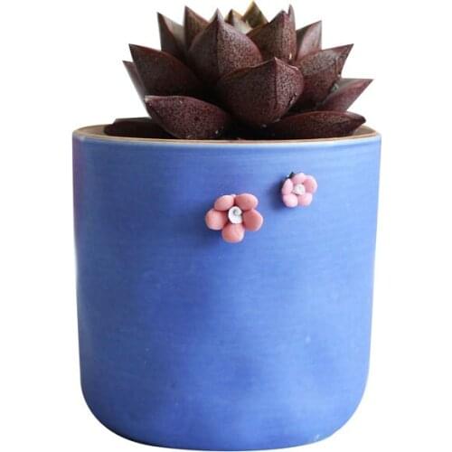 Girl Feelings Flower Language Series Rainbow Hand Pinch Flower Meat Flower Basin Meat Plant Flower Basin Ceramic Flower Basin