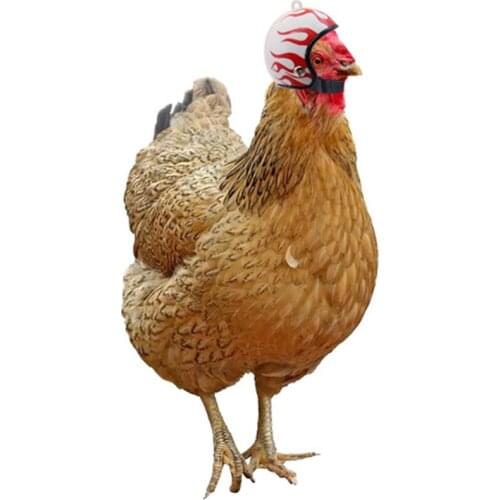 Chicken Helmet Cap Pet Protective Gear Sun Rain Protection Helmet Toy Bird Hens Small Pet Supplies Costumes Accessories