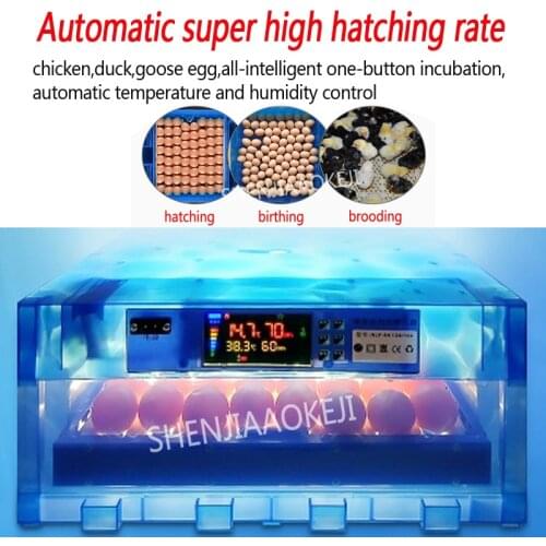 64 pieces Miniature chick egg incubator automatic 80W small Automatic incubator Multi-functional hatching egg