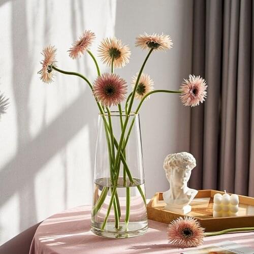 Vases Creative Large Glass Bottle Transparent Home Decor Hydroponic Terrarium Lily Rose Vase Living Room Flower Vase Decoration