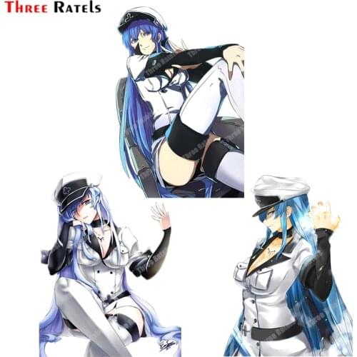 Three Ratels B81 Esdeath Of Akame Ga Kill Automobiles & Motorcycles Vinyl Car Stickers Jdm Sticker Auto Decals