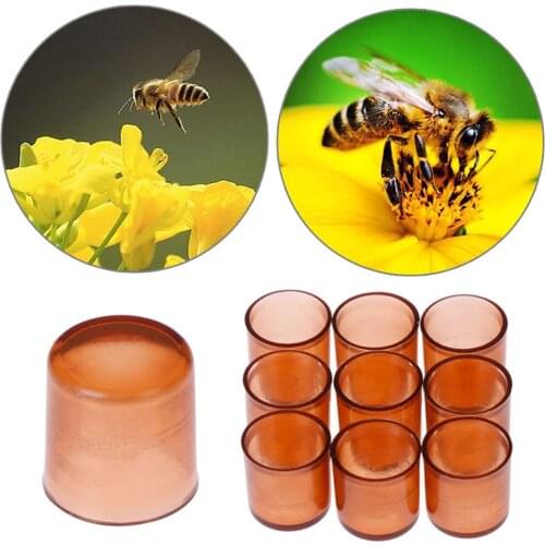 1000PCS Brown Cells Plastic Cups Beekeeping Queen Rearing Box Beekeeping Tools Bee Keeper Tools Apiculture Supplier