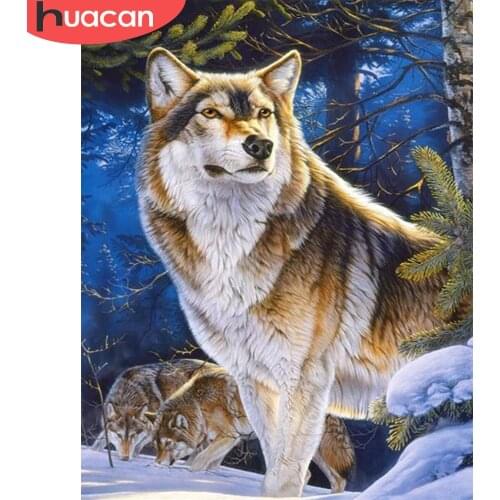 HUACAN Coloring By Number Wolf Animal Kits For Adults Handpainted DIY Picture By Number Winter On Canvas Home Decoration