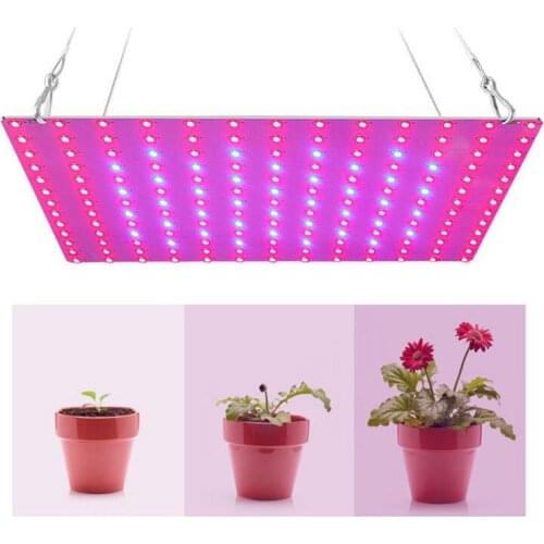 Powerful LED Plant Grow Light Lamp KPhytolamp For Flower 2835 Beads Growth Lighting Full Spectrum Indoor Hydroponics Veg Lights