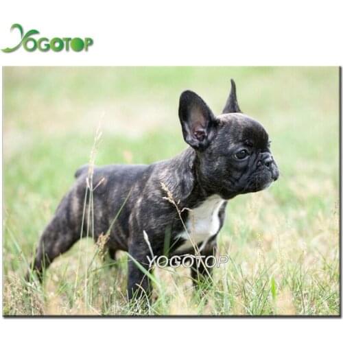 French bulldog Diamond Embroidery cute puppy full drill square round Rhinestones 5d diy Diamond Painting kit Pictures YY2301