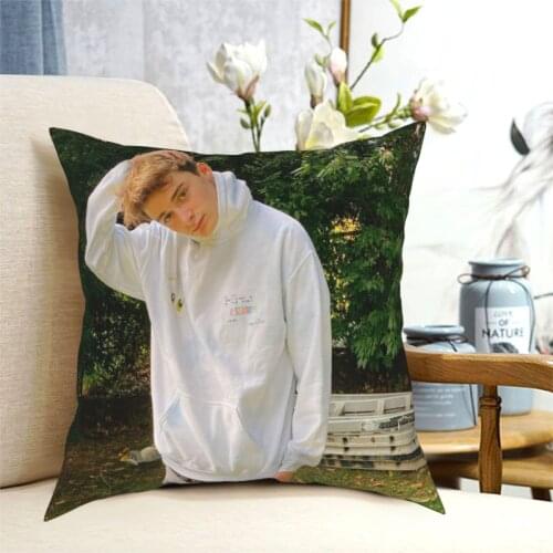 Noah Schnapp 2268 Dakimakura Pillow Case Pillow Cover Pillow Body Pillow Dakimakura Anime