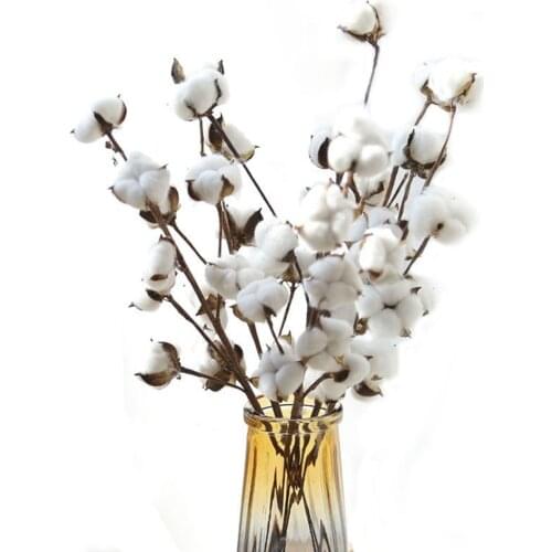 Natural Fluffy Dried Cotton Flowers Decor Real Artificial Flower Bouquet Branch for Indoor Home Decor Wedding Party Accessories