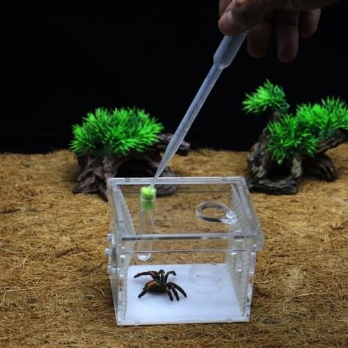 Ant grape pet spider ant farm, acrylic assembled reptile breeding box Ant spider scorpion climbed pet escape burrow nest