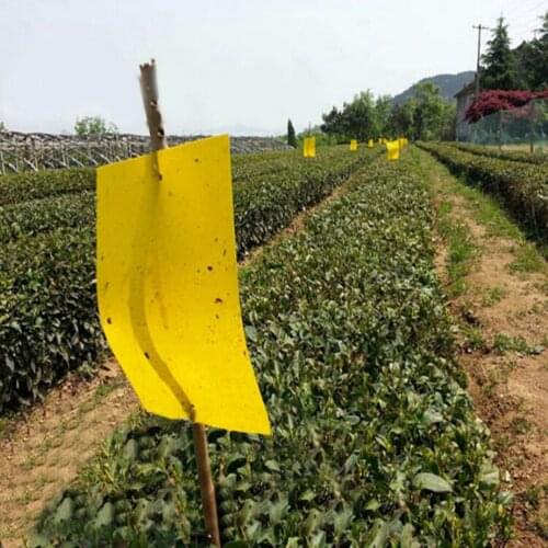 25x15cm Yellow Paper And Mucus Powerful Sticky Board Greenhouse Is Orchard Garden Courtyard For Pest Control On Sale