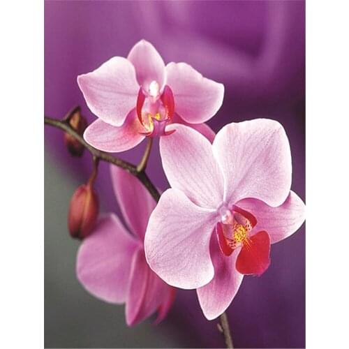 Art Flower DIY 11CT Cross Stitch Embroidery Kits Craft Needlework Set Cotton Thread Printed Canvas Home Decoration Room