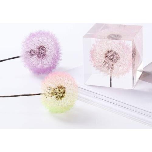 Dried Flowers Dandelion DIY Crystal Epoxy Resin Filling Natural Plants Jewelry Making Accessories Handmade Crafts Home Decor