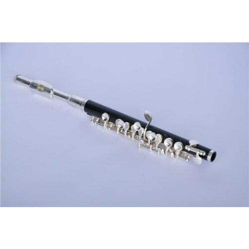 ABS body piccolo with silver plated keys and silver plated headjoint