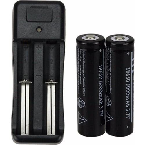 Gtf 2 pces 18650 6000 mah 3.7 v li-ion rechargeable battery + ue battery charger