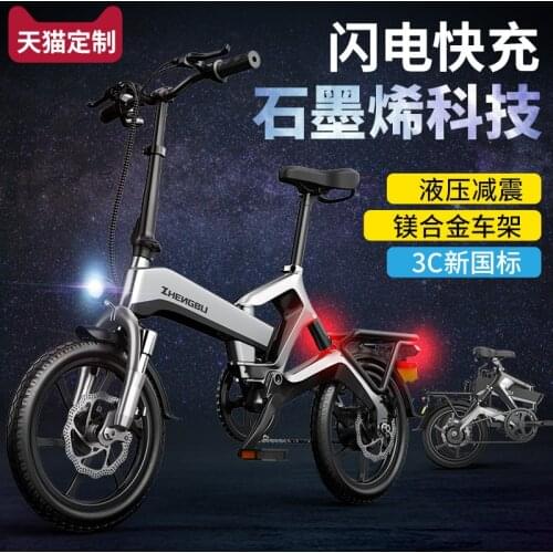 New Magnesium Alloy Folding Electric Bicycle