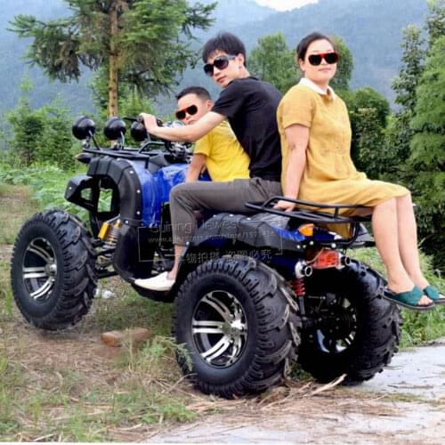 250CC Water Cooled Gasoline Petrol ATV Amusement Park Sport mtb Adult Ride 4 Wheels Sand Beach Buggy Gas Moto quad bike