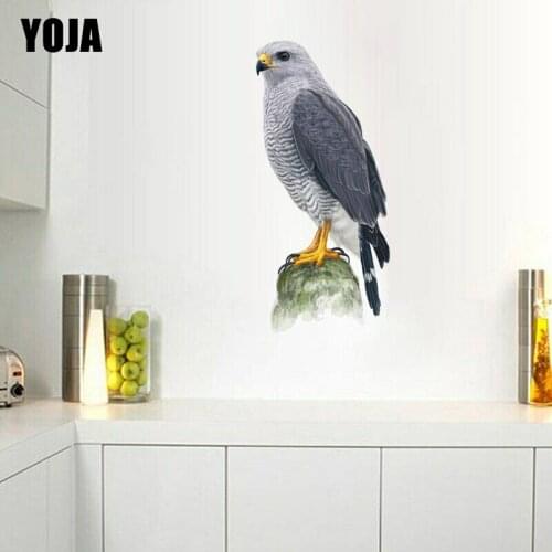 YOJA 24.5X53.3CM Hand Drawn Eagle Living Room Wall Sticker Fashion Cartoon Home Decoration 8WS0187