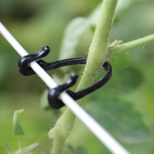 100PCS Vines Fastener Tied Buckle Hook Plant Vegetable Grafting Clips Agricultural Greenhouse Supplies