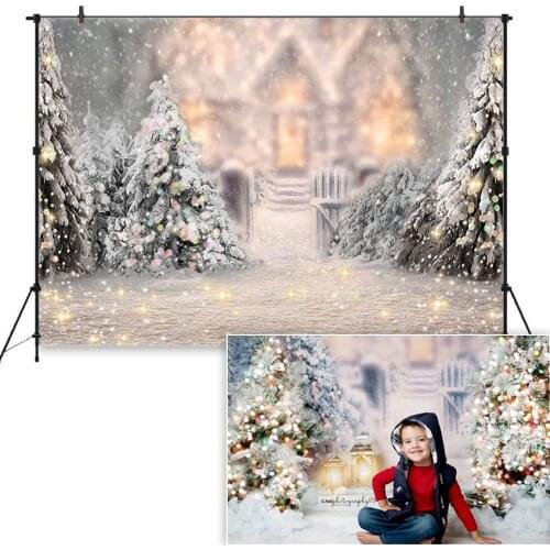 Christmas Background Children Baby Winter Snow Scene Decor Backdrops for Photography Photo Studio Photocall Photobooth