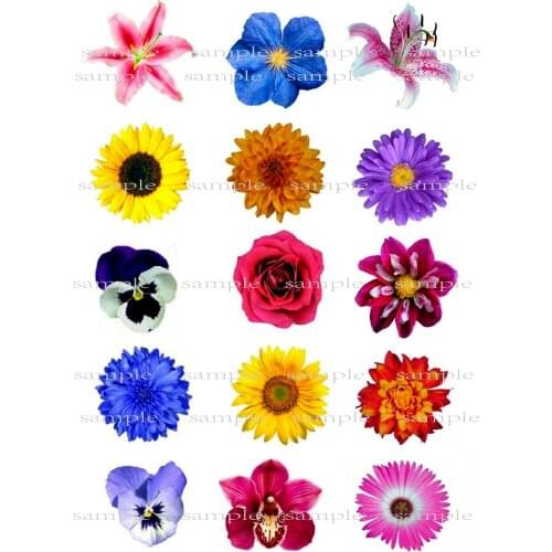 15 Mixed Flower Edible Cake Topper Wafer Rice Paper for Cake Decoration Cupcake Topper Birthday Party Wedding Cake Decor Supplly