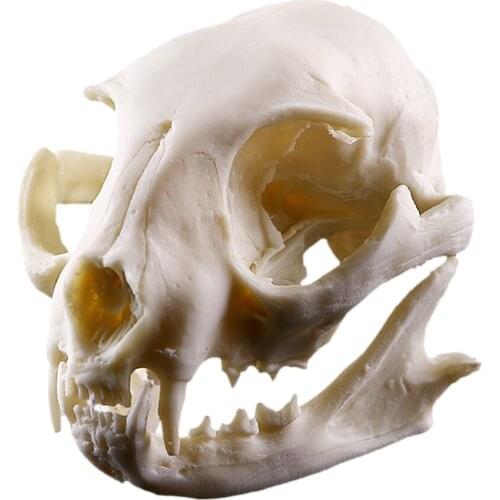 5pcs Resin Cat Skull Skeleton Figurine Aquarium Fish Tank Landscape Decoration