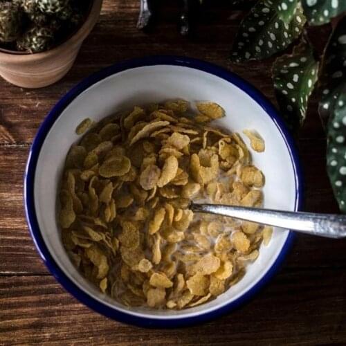 Cereal Bowl Food Bowls Breakfast Cereal Bowls Food Container For Salad Ramen Soup Tableware For Kids Family