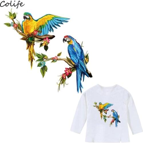 Bright Brids Iron-On Transfers T-Shirt Diy Decoration 2018 New A-Level Washable Parches Ropa Applique 21x20Cm