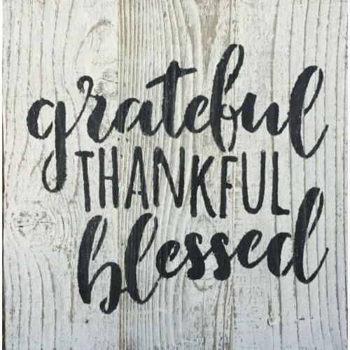 Blessed Retro Metal Sign Funny Family Cafe Bar Bar Manhole Wall New Year Christmas Easter 12X12 inch