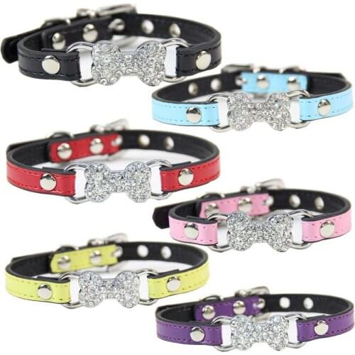 Pet collar Teddy dog kitten diamond Necklace collar